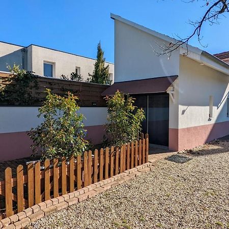 Studio Mezzanine Chez Papou, Ville Et Foret Strasbourg Ngoại thất bức ảnh