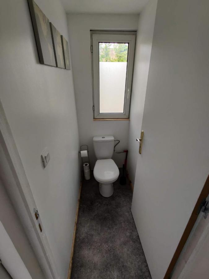 Studio Mezzanine Chez Papou, Ville Et Foret Strasbourg Ngoại thất bức ảnh
