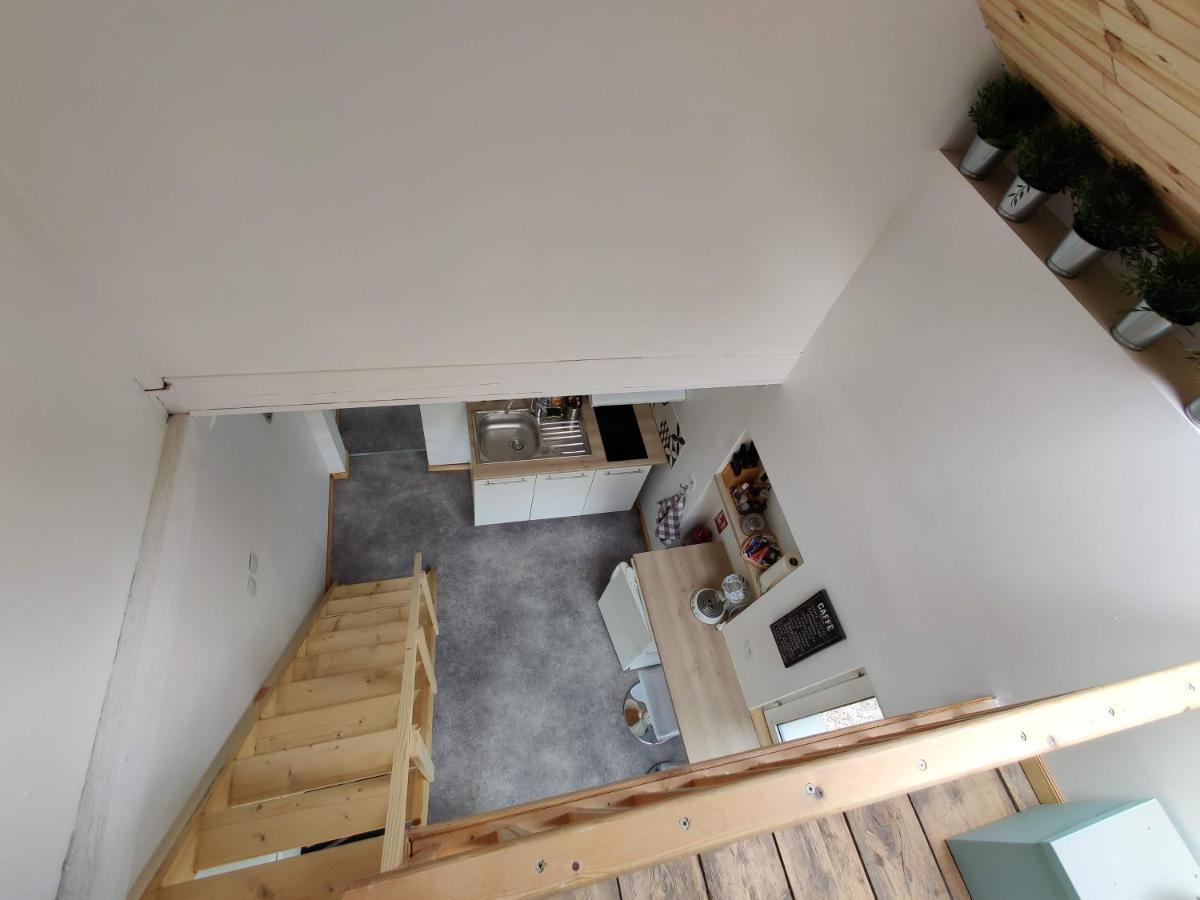 Studio Mezzanine Chez Papou, Ville Et Foret Strasbourg Ngoại thất bức ảnh