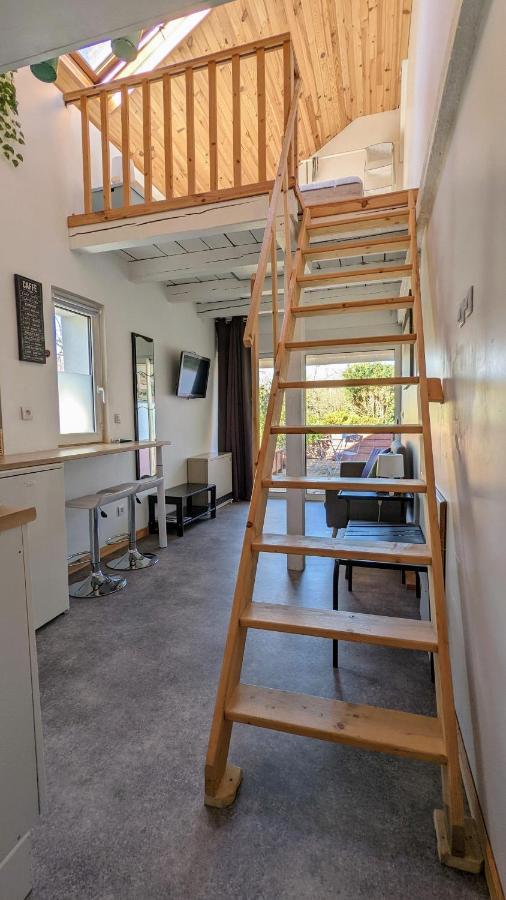 Studio Mezzanine Chez Papou, Ville Et Foret Strasbourg Ngoại thất bức ảnh