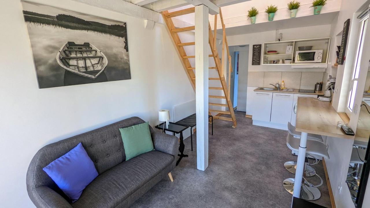 Studio Mezzanine Chez Papou, Ville Et Foret Strasbourg Ngoại thất bức ảnh