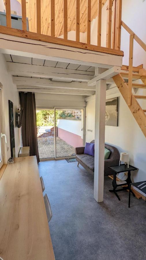 Studio Mezzanine Chez Papou, Ville Et Foret Strasbourg Ngoại thất bức ảnh