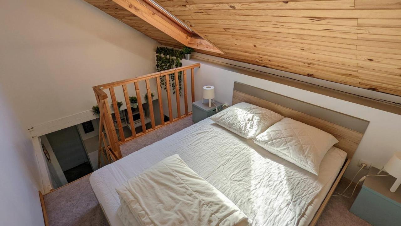 Studio Mezzanine Chez Papou, Ville Et Foret Strasbourg Ngoại thất bức ảnh